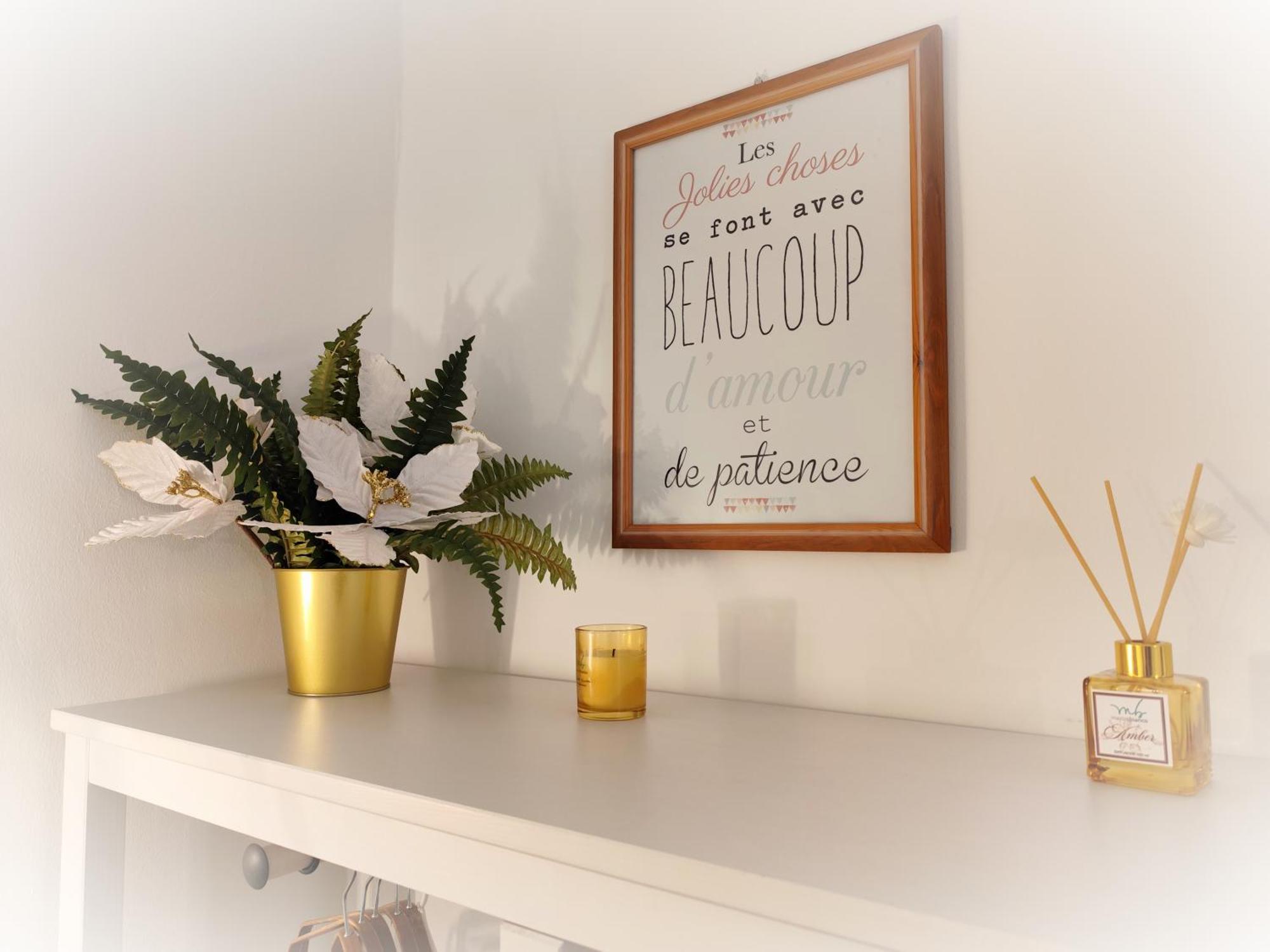 Calin Apartment Turyn Zewnętrze zdjęcie